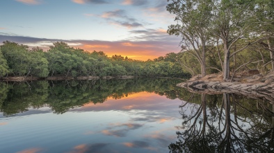 ray harral nature park