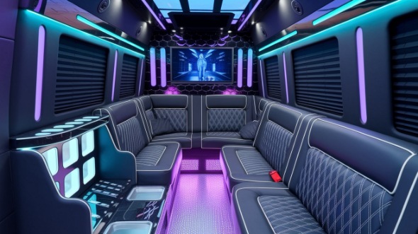 sprinter limo rental interior conway