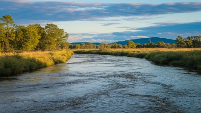 wild river country